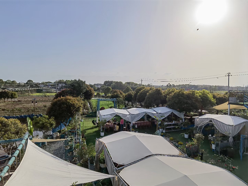長沙（shā）芭蕉熊半山坡生（shēng）態農場
