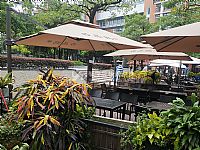 A-SDF310旋轉大羅（luó）馬傘（sǎn）