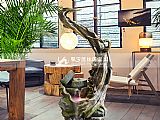 禪（chán）燈（dēng）泉水裝飾品F-F1804